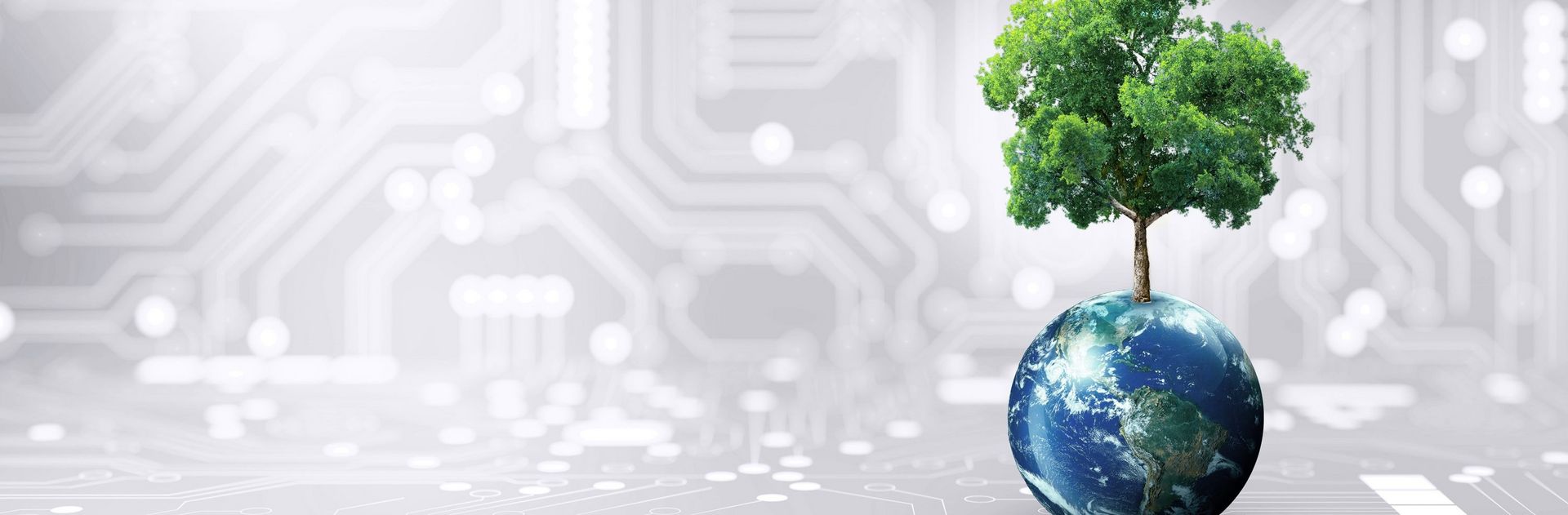 チュービンゲンに本拠を持つWALTERでの持続可能性